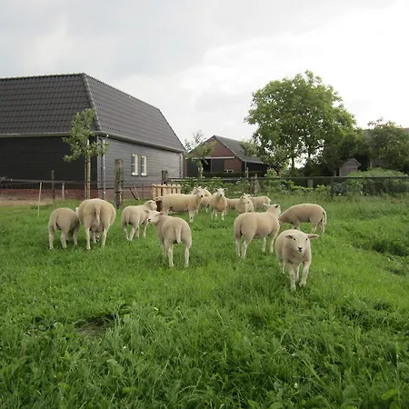 Recreatieboerderij 't Schutje Bed & Breakfast Soerendonk