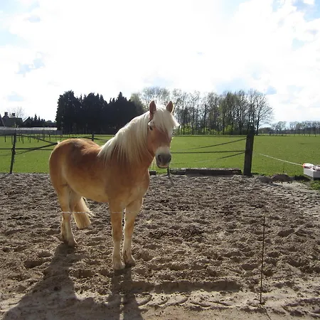 Bed & Breakfast Recreatieboerderij 't Schutje Soerendonk